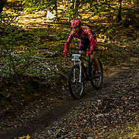 20201011mtbgdansk208.jpg