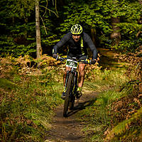 20201011mtbgdansk514.jpg