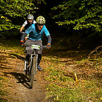 20201011mtbgdansk600.jpg