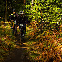 20201011mtbgdansk826.jpg