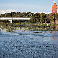 20210904-Malbork-180015.JPG