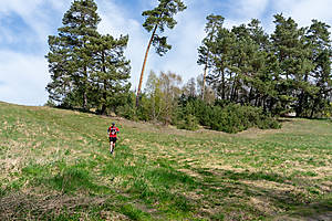 DSC09228.jpg