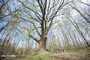 UW2026_jd_665.jpg