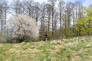 DSC09225.jpg