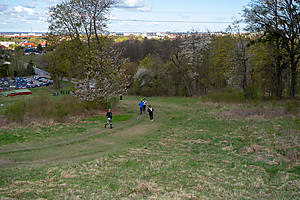 DSC00575.jpg