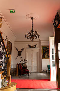 DSC08791.jpg