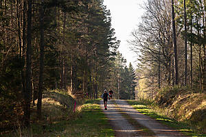 DSC03285.jpg