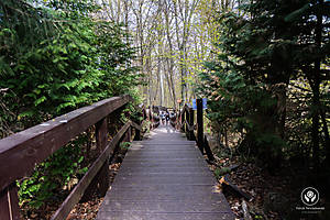 DSC03628.jpg