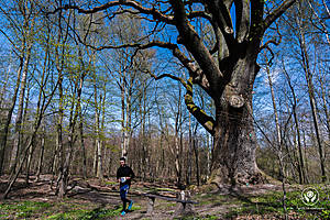 DSC03751.jpg