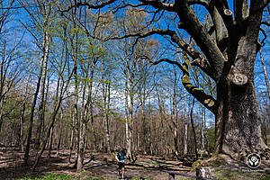 DSC03762.jpg