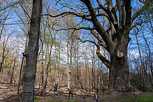 DSC03773.jpg