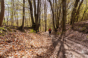 DSC04654.jpg