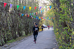 DSC08417.jpg