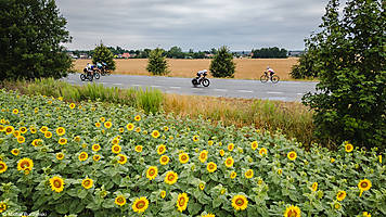 DJI_0996.jpg