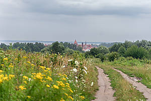 DSC01133.jpg