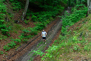 DSC02290.jpg