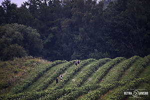 GUR_Tolkmicko_jd_95.jpg