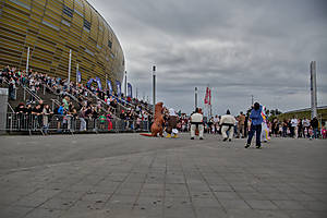 _MG_8305.jpg