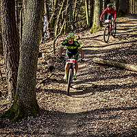 20190407mtbgd1136.jpg