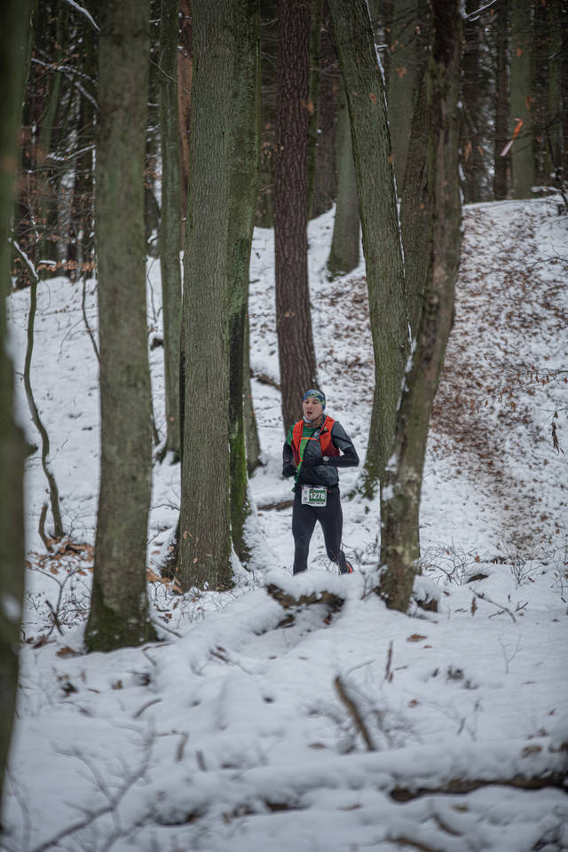 DSC_2313.jpg