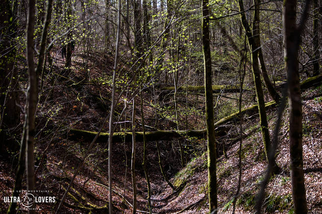 UW2026_jd_771.jpg