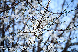 UW2026_jd_566.jpg