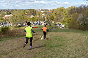 DSC00527.jpg