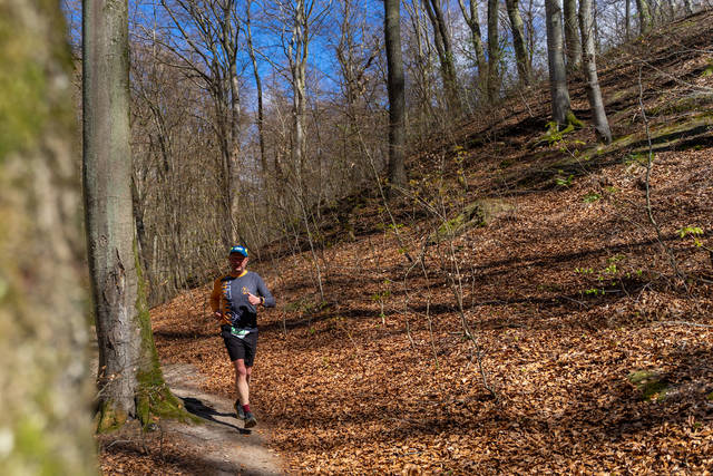 DSC01113.jpg