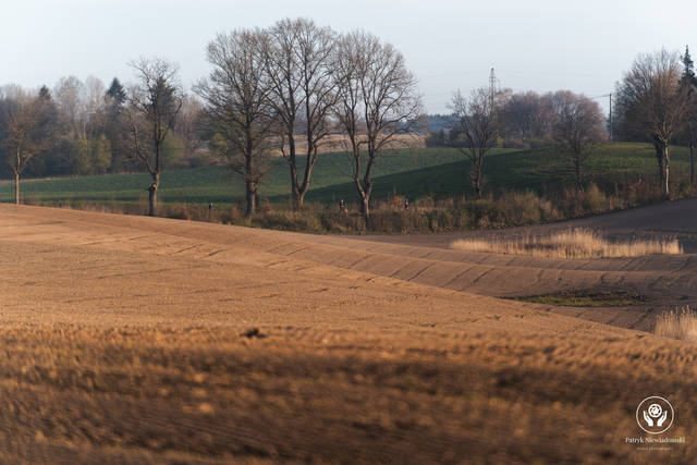 DSC03104.jpg
