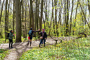 DSC09440.jpg