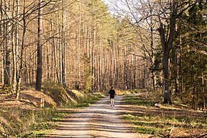 DSC03284.jpg