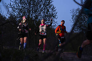DSC02959.jpg