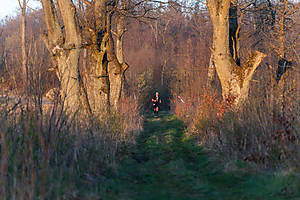 DSC03009.jpg