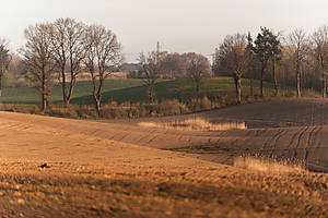 DSC03103.jpg