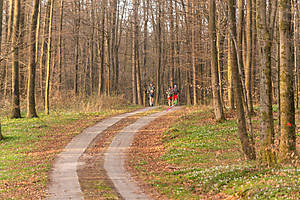 DSC03122.jpg