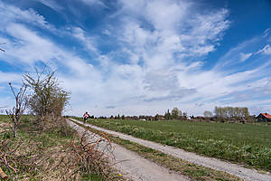 DSC03703.jpg