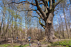 DSC03752.jpg