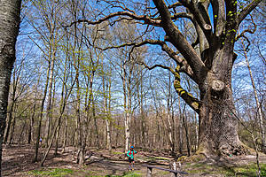 DSC03755.jpg