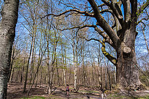 DSC03757.jpg