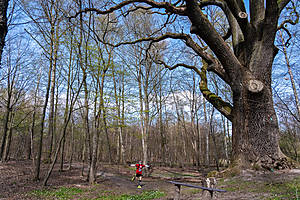 DSC03760.jpg