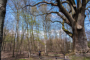 DSC03761.jpg