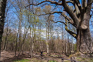DSC03768.jpg