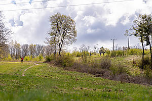 DSC04553.jpg