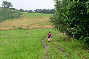 DSC01070.jpg