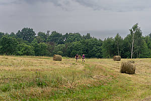DSC01125.jpg