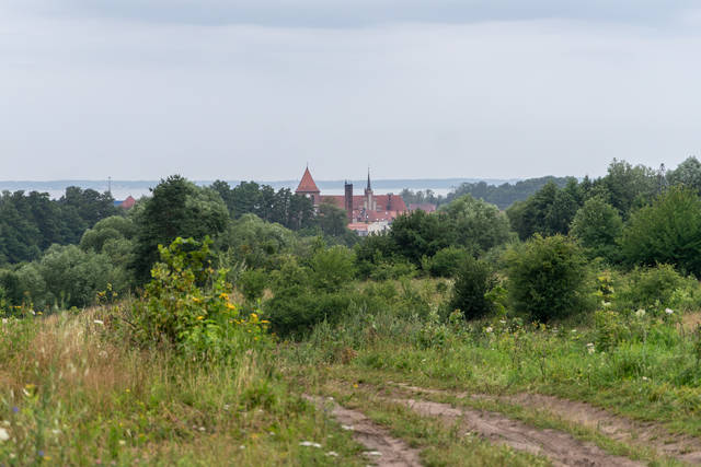 DSC01134.jpg