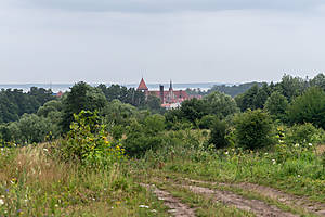 DSC01134.jpg