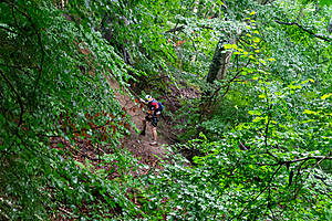 DSC02583.jpg