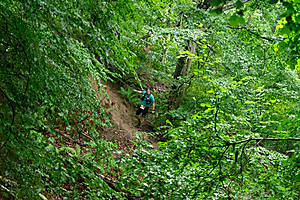 DSC02602.jpg