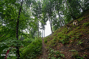 GUR_Tolkmicko_jd_228.jpg